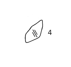 #4 LOWER DOOR GLASS - VOHM65.4