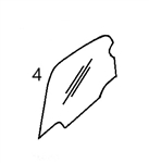 16213139 RIGHT SIDE GLASS - VOHM77.4